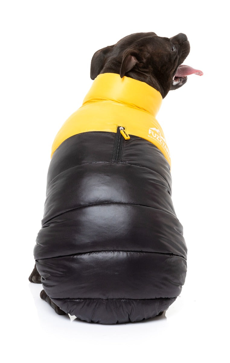 Staffy Wearing Yellow East Harlem Dog Puffer Jacket