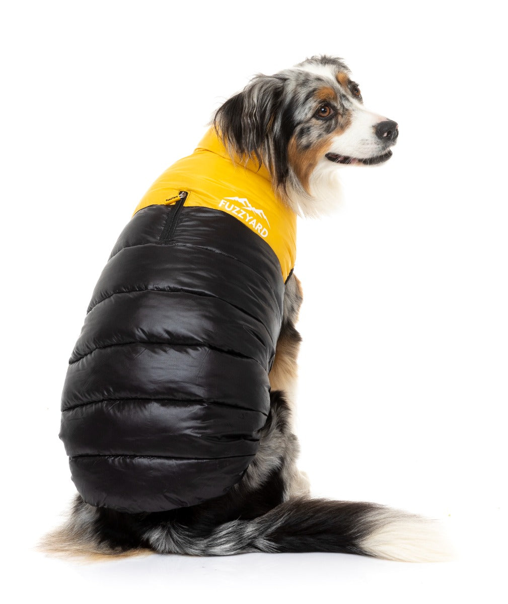 Shepherd Wearing Yellow East Harlem Dog Puffer Jacket