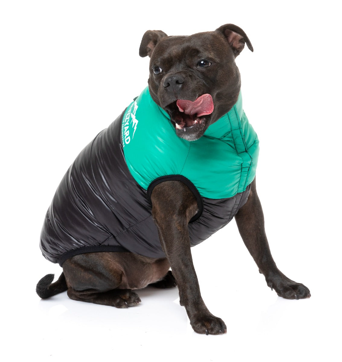 Staffy wearing Green East Harlem Dog Puffer Jacket