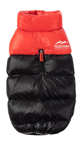 Red East Harlem Dog Puffer Jacket