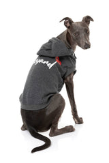 Whippet wearing grey heartbreaker hoodie for dogs