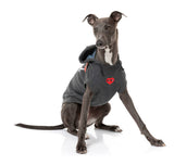 Whippet wearing grey heartbreaker hoodie for dogs