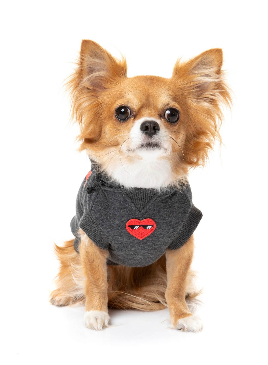 Chihuahua wearing grey heartbreaker hoodie for dogs
