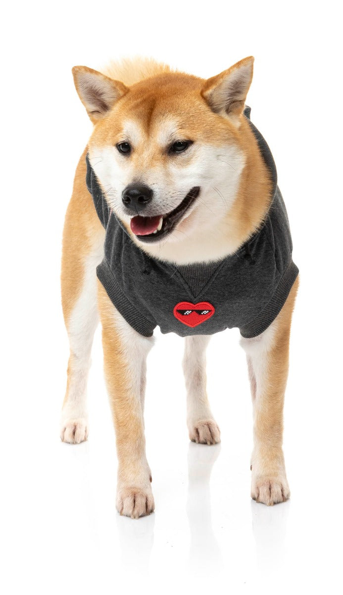 Shiba wearing grey heartbreaker hoodie for dogs