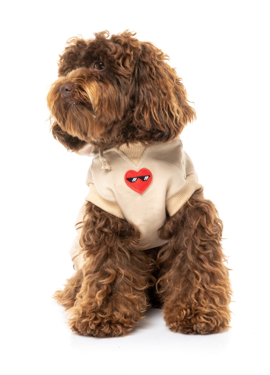 Cavoodle wearing beige heartbreaker hoodie for dogs