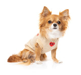 chihuahua wearing beige heartbreaker hoodie for dogs
