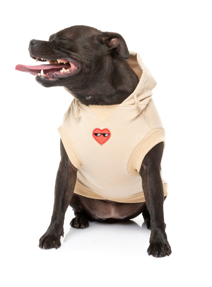 Staffy wearing beige heartbreaker hoodie for dogs