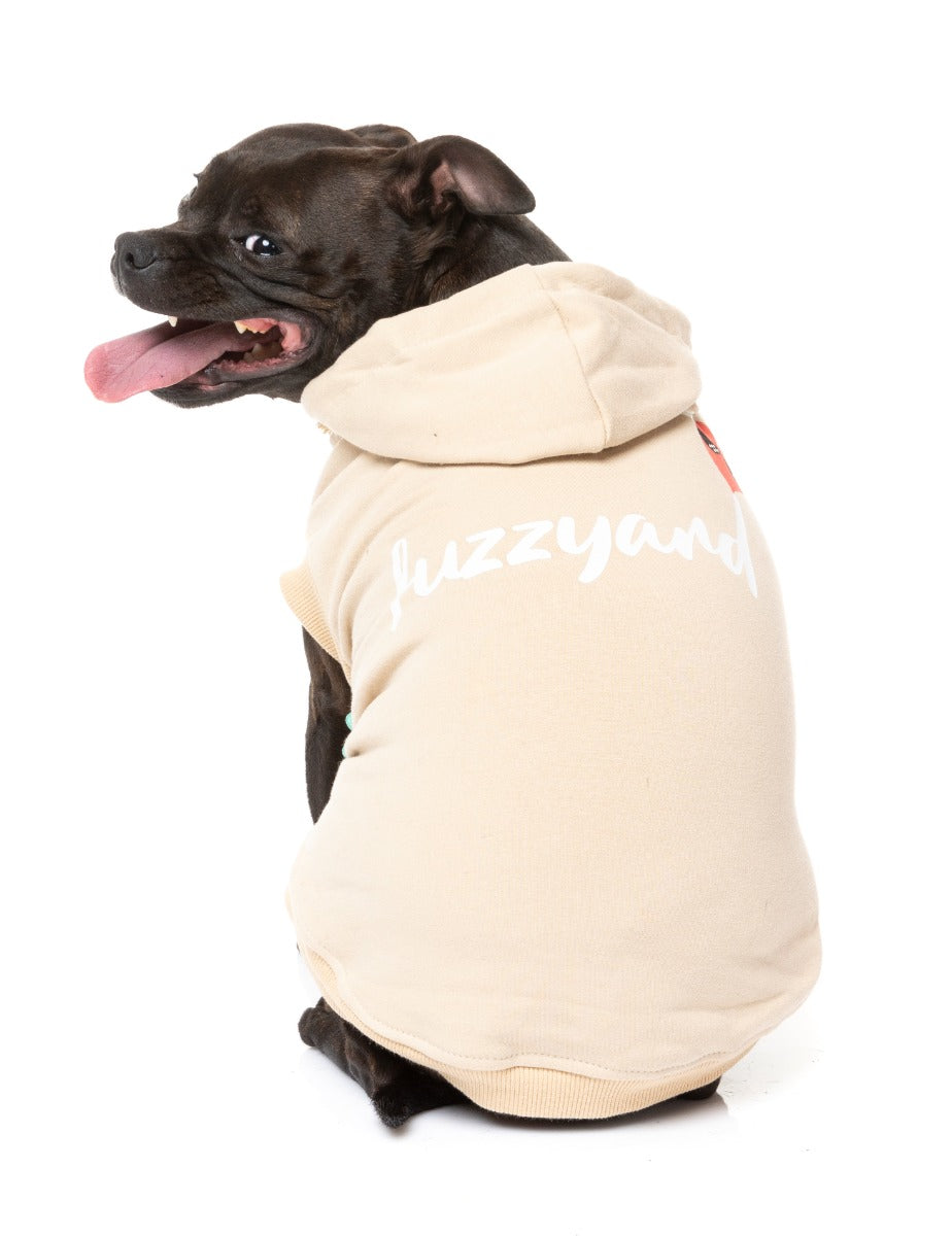Staffy wearing beige heartbreaker hoodie for dogs