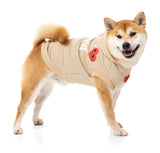 Shiba wearing beige heartbreaker hoodie for dogs