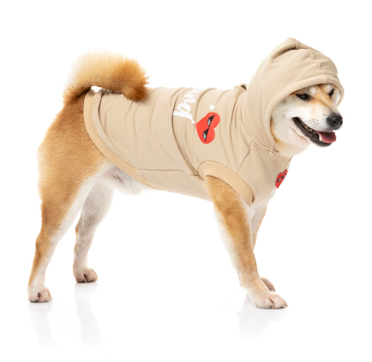 Shiba wearing beige heartbreaker hoodie for dogs