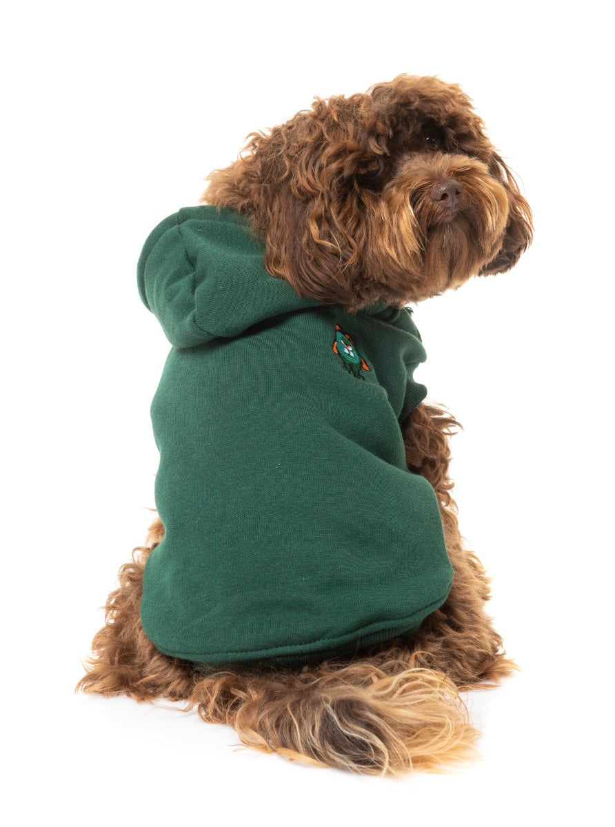 Cavoodle shepherd wearing green yardsters hoodie for dogs