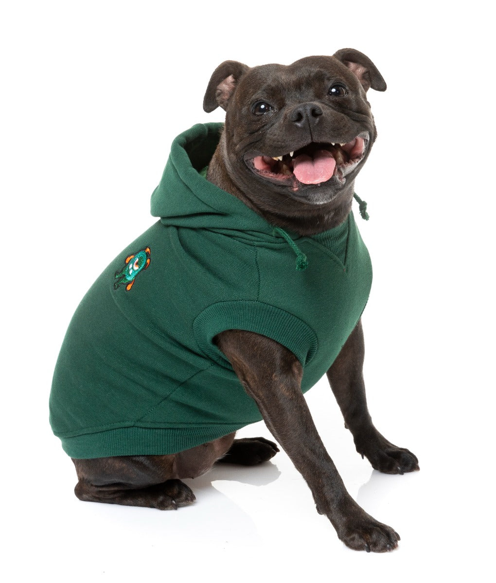 Staffy shepherd wearing green yardsters hoodie for dogs
