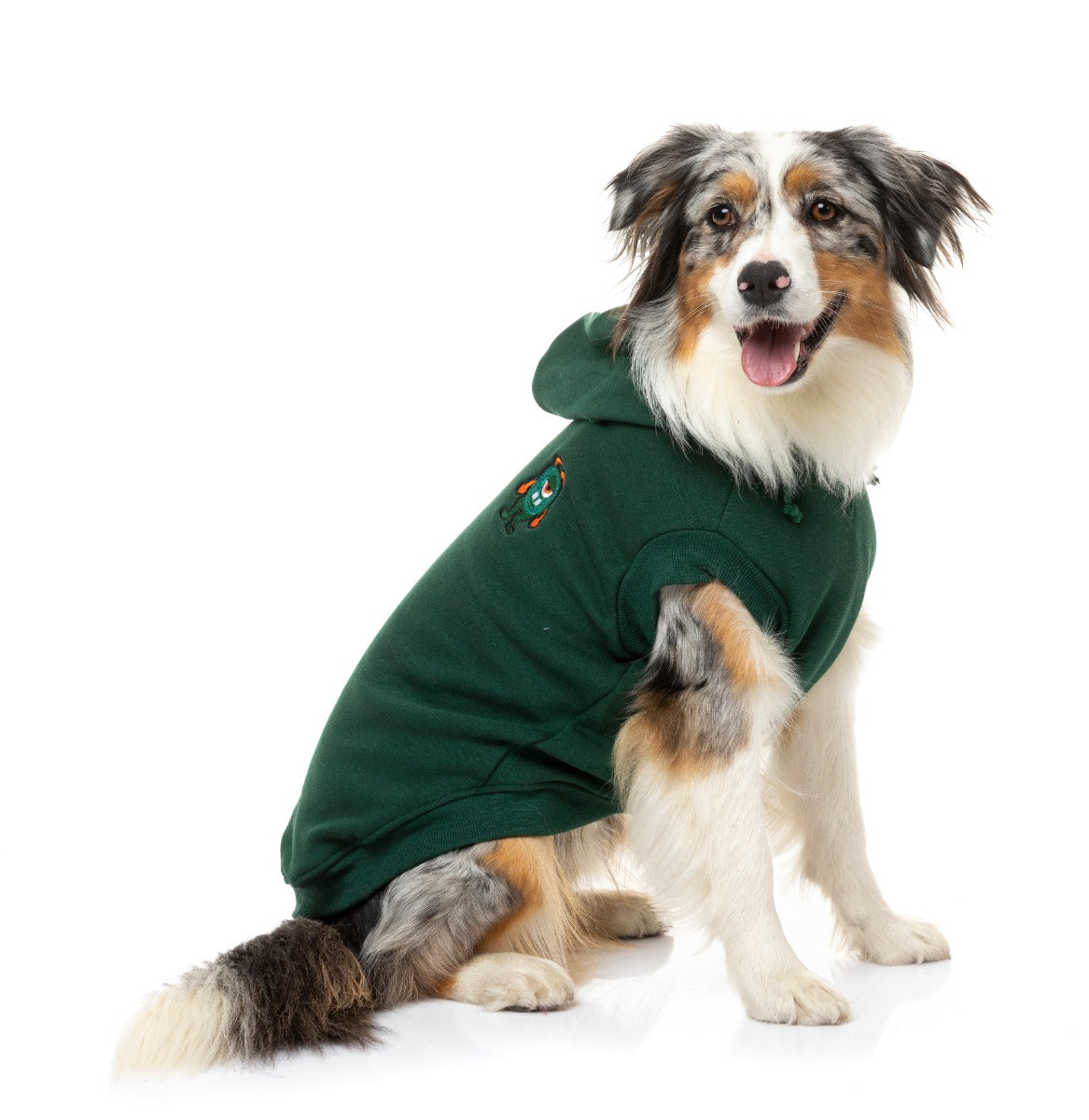 Aussie shepherd wearing green yardsters hoodie for dogs