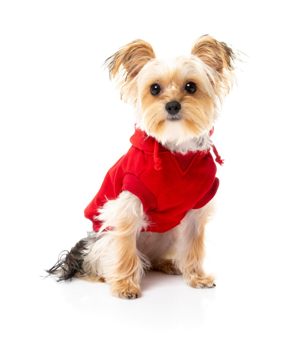 yorki wearing Red Yardsters Hoodie For Dogs