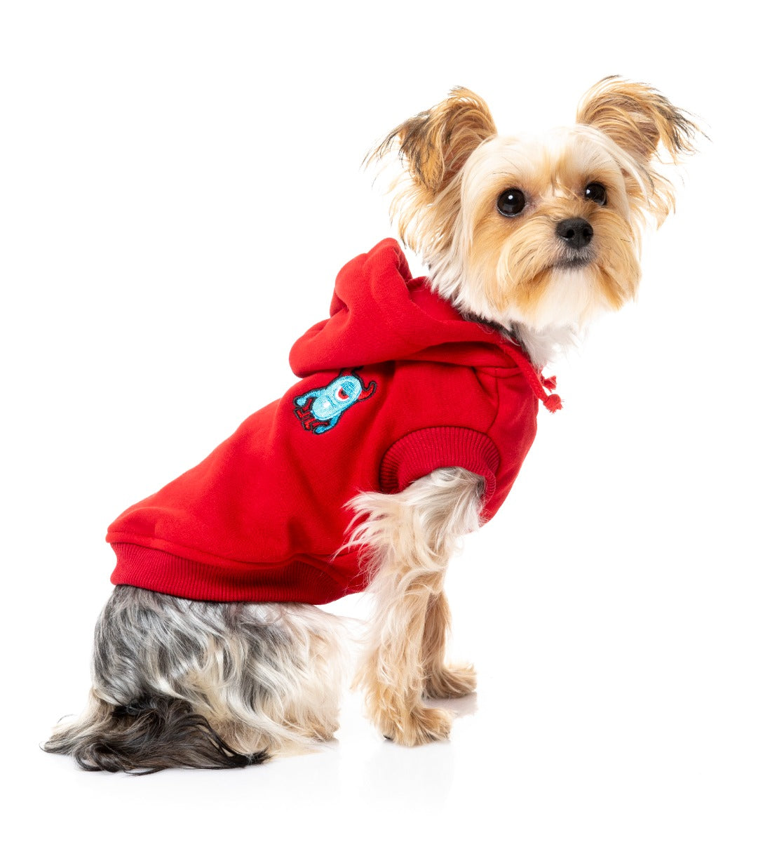 yorki wearing Red Yardsters Hoodie For Dogs