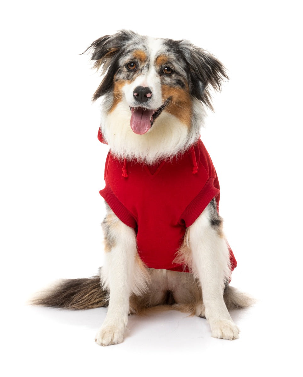 aussie sheperd wearing Red Yardsters Hoodie For Dogs