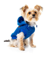 yorki in blue yardster hoodie