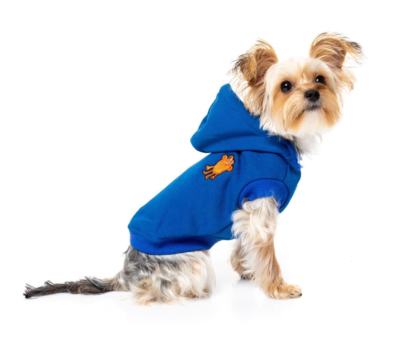 yorki in blue yardster hoodie