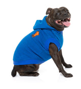 staffie in blue yardster hoodie