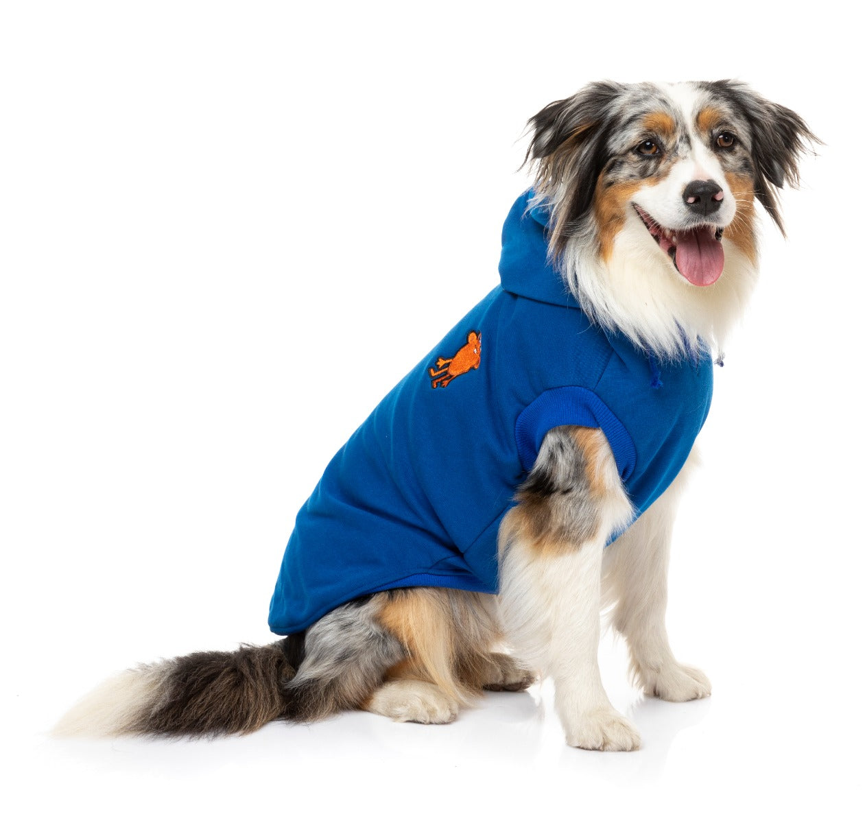 shepherd in blue yardster hoodie
