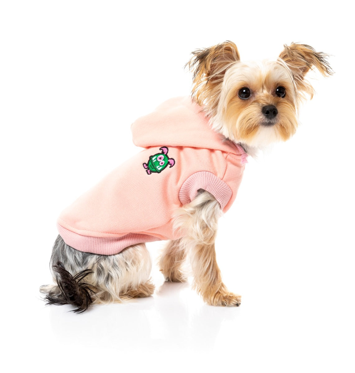 small dog in Pink Yardsters Hoodie