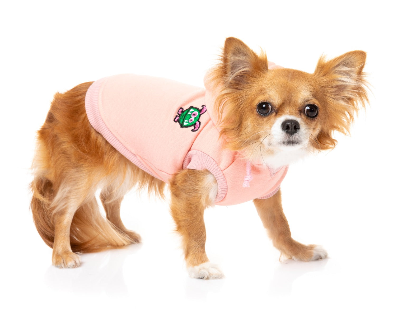 small dog in Pink Yardsters Hoodie