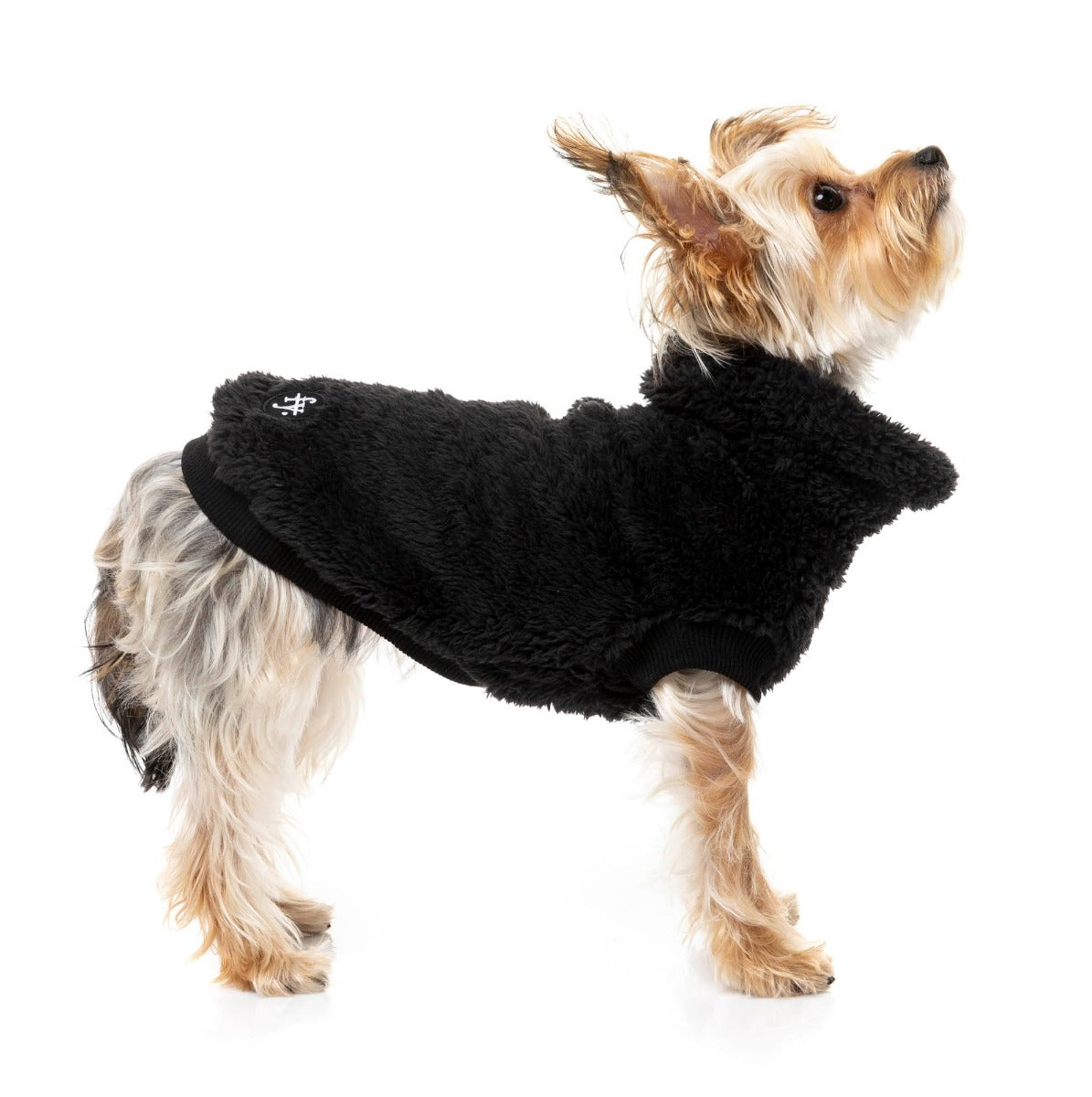 Black Turtle Teddy Sweater For Dogs - By FuzzYard