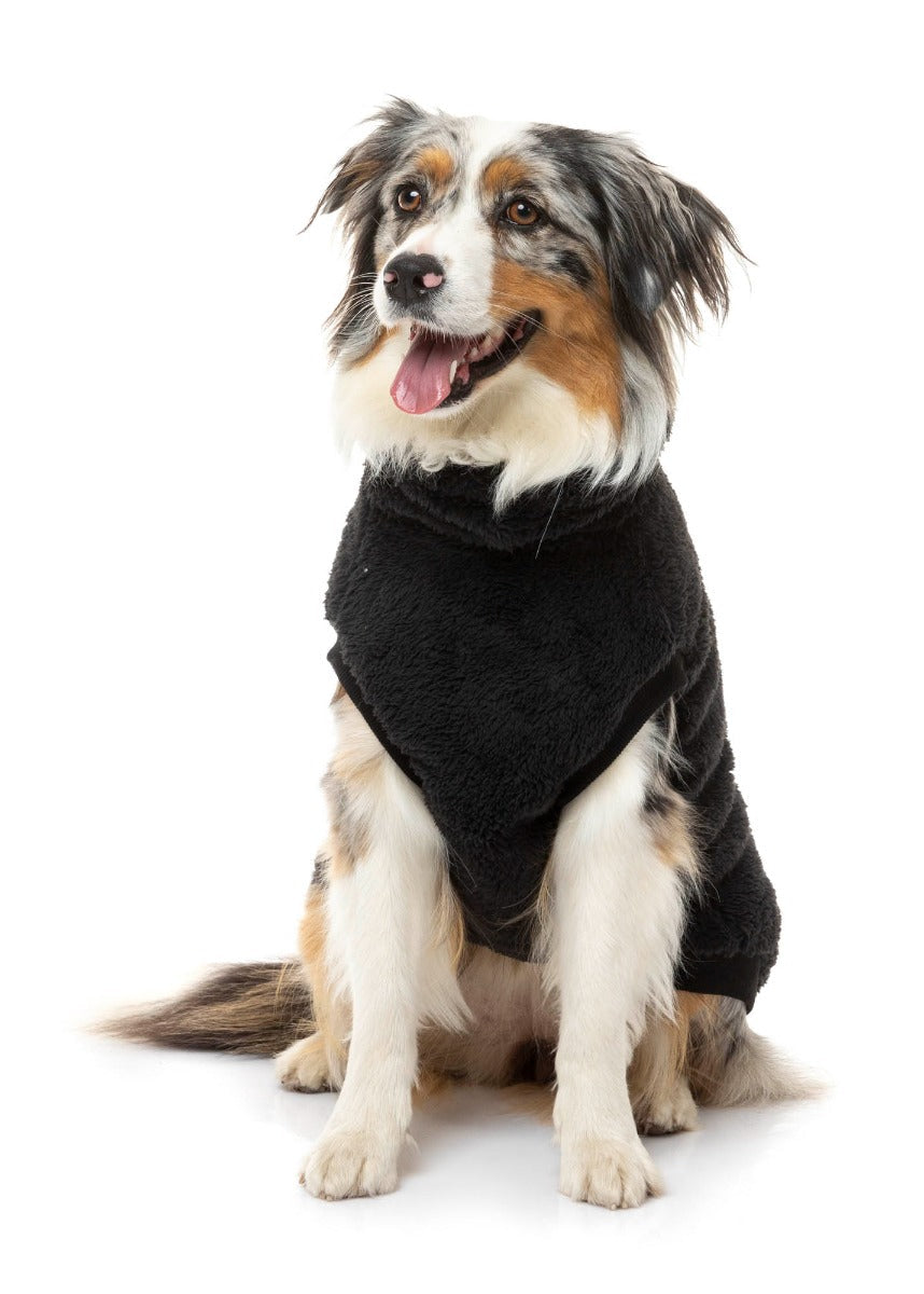 Black Turtle Teddy Sweater For Dogs - By FuzzYard