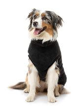 Black Turtle Teddy Sweater For Dogs - By FuzzYard
