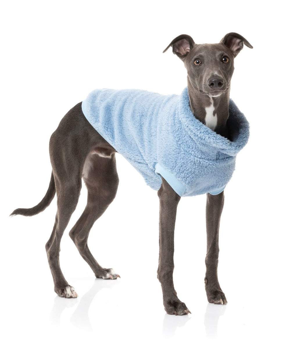 whippet in Washed Blue Turtle Teddy Sweater For Dogs - By FuzzYard