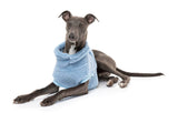 whippet in Washed Blue Turtle Teddy Sweater For Dogs - By FuzzYard