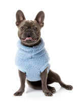 French Bulldog in Washed Blue Turtle Teddy Sweater For Dogs - By FuzzYard