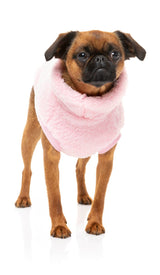 Griffon in Pink Turtle Teddy Sweater For Dogs - By FuzzYard