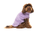 cavoodle wearing Purple Turtle Teddy Sweater For Dogs - By FuzzYard