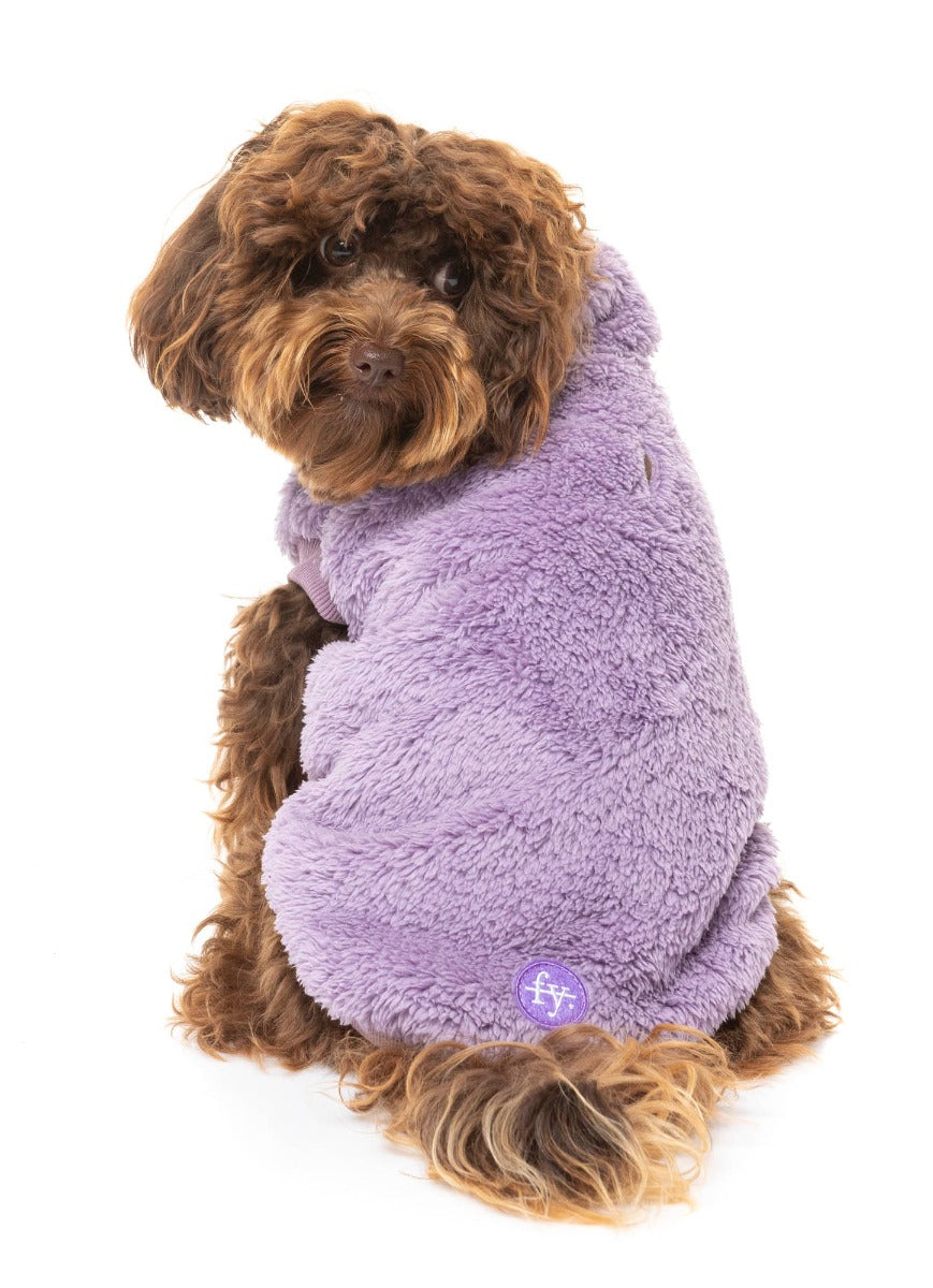 cavoodle wearing Purple Turtle Teddy Sweater For Dogs - By FuzzYard