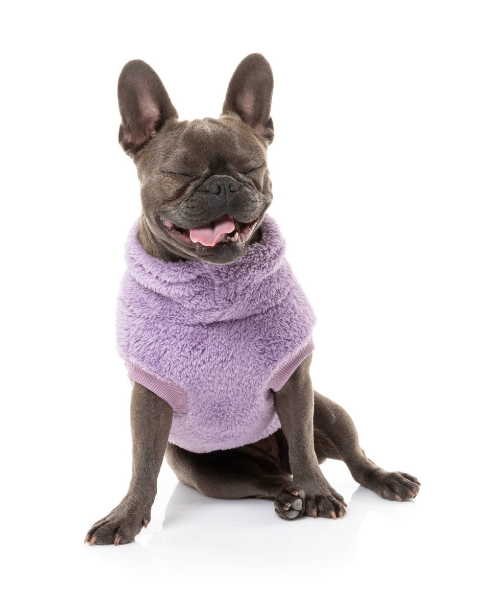 french bull dog wearing Purple Turtle Teddy Sweater For Dogs - By FuzzYard