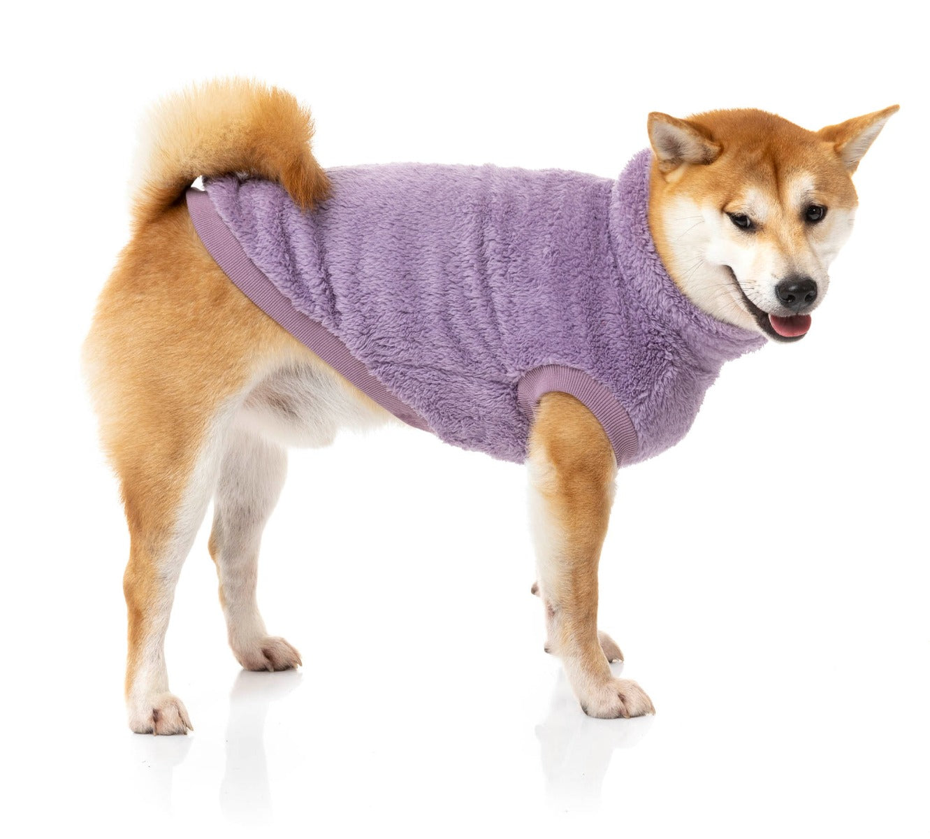 medium dog wearing Purple Turtle Teddy Sweater For Dogs - By FuzzYard