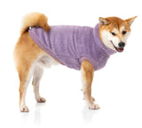 medium dog wearing Purple Turtle Teddy Sweater For Dogs - By FuzzYard