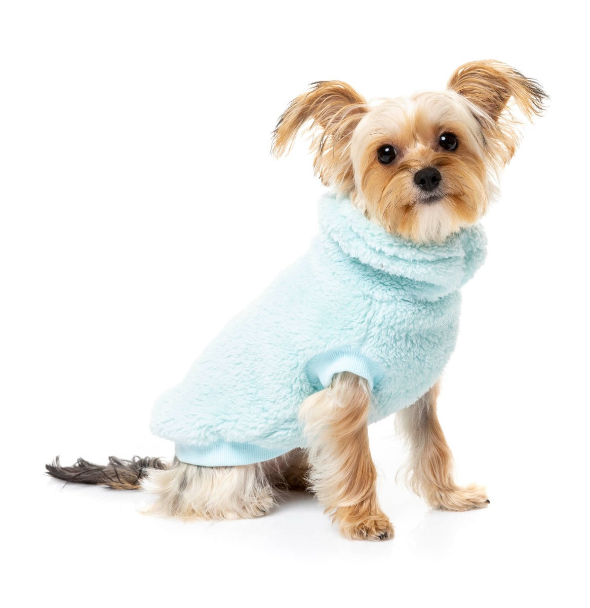 Arctic Ice Turtle Teddy Sweater For small Dogs