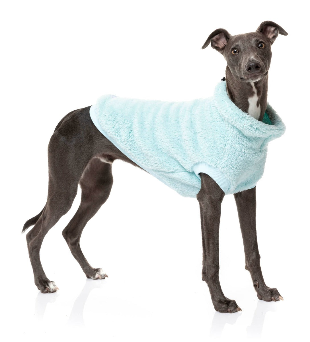 Arctic Ice Turtle Teddy Sweater For medium Dogs