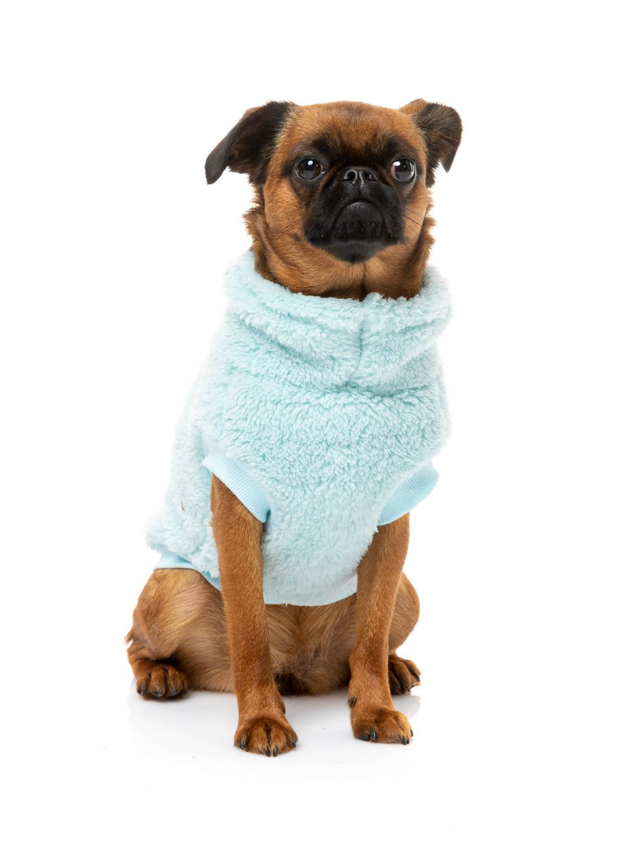 Arctic Ice Turtle Teddy Sweater For small Dogs