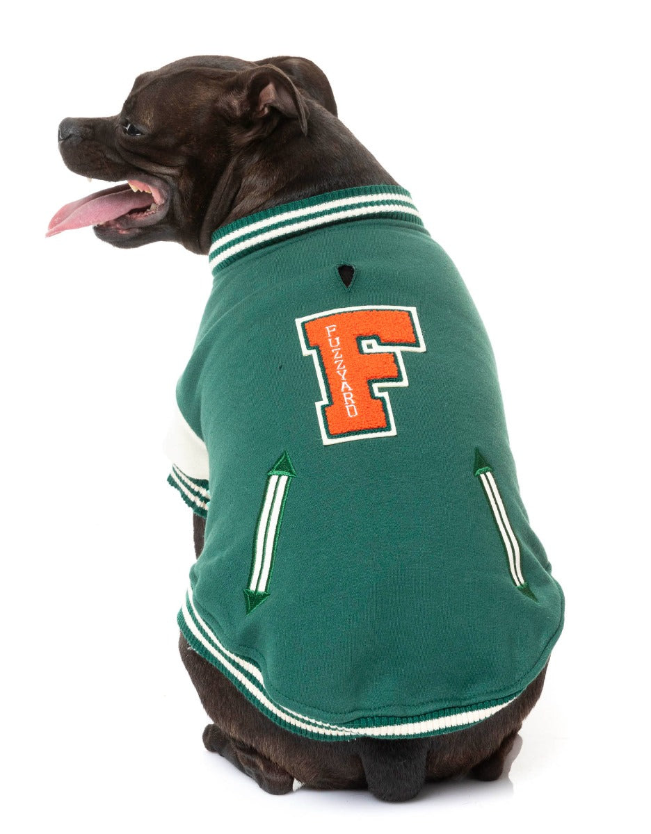 Staffy wearing The Letterman Jacket in green