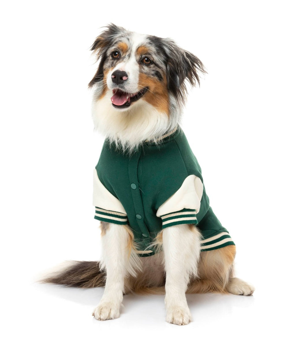 Medium dog wearing The Letterman Jacket in green