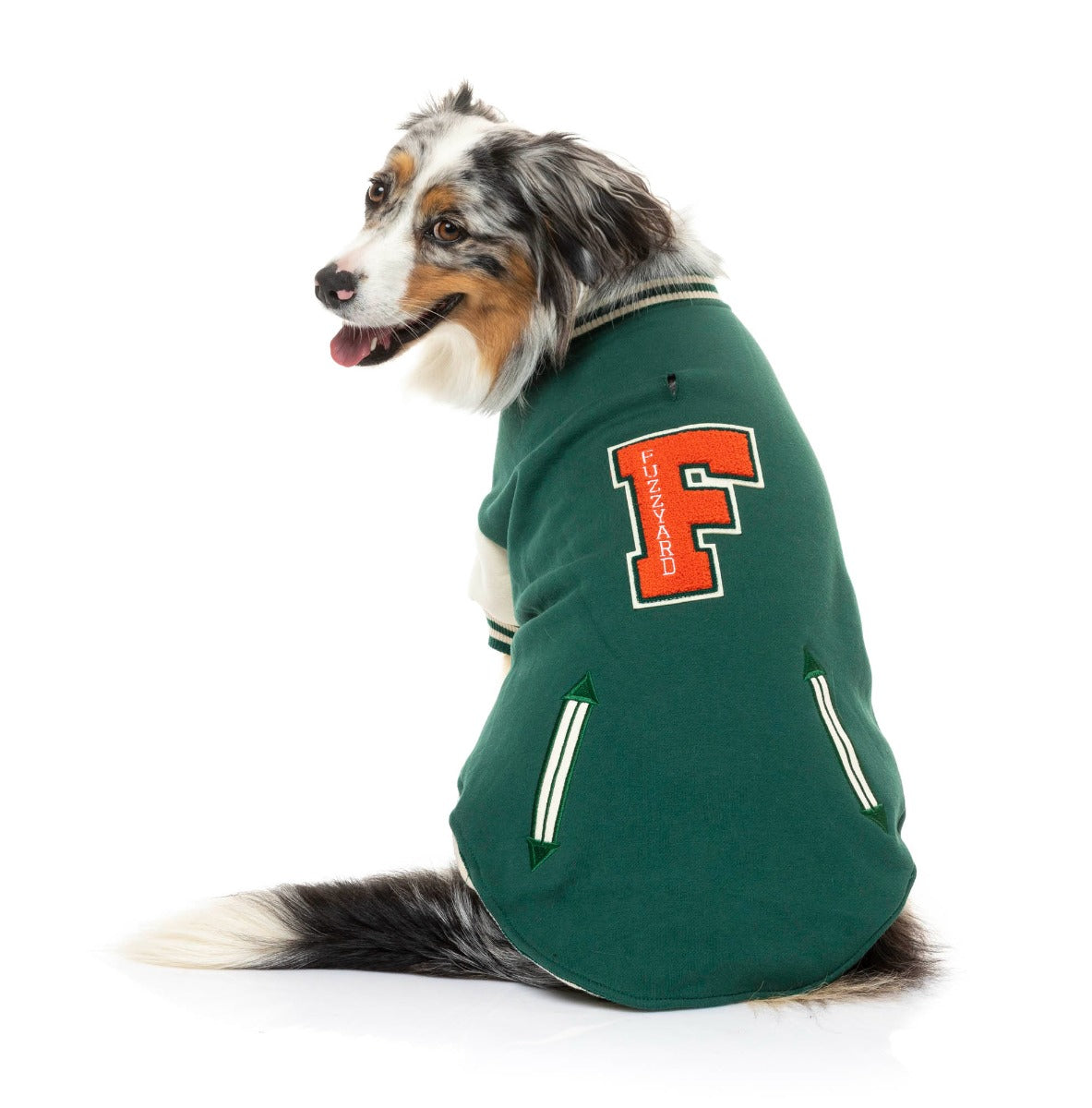 Medium dog wearing The Letterman Jacket in green