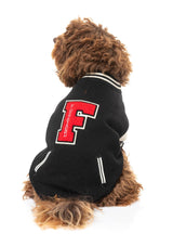 small dog wearing The Letterman Jacket in black
