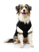Medium dog wearing The Letterman Jacket in black