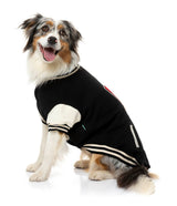 Medium dog wearing The Letterman Jacket in black