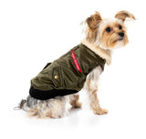 yorkie terrier wearing The Letterman Jacket For Dogs In Olive Green