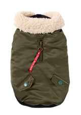 The Letterman Jacket For Dogs In Olive Green
