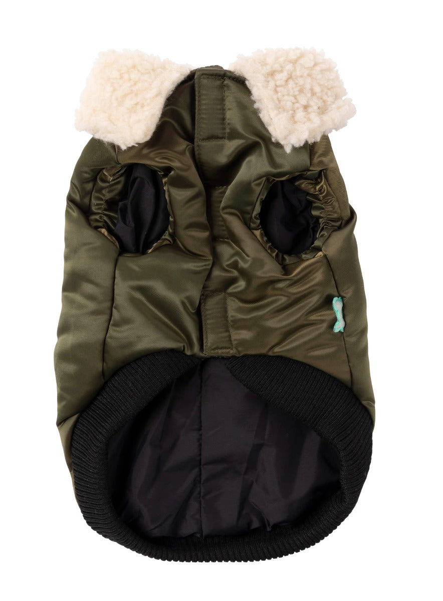 The Letterman Jacket For Dogs In Olive Green